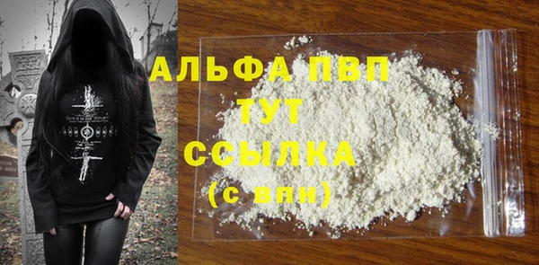 СК Алексин