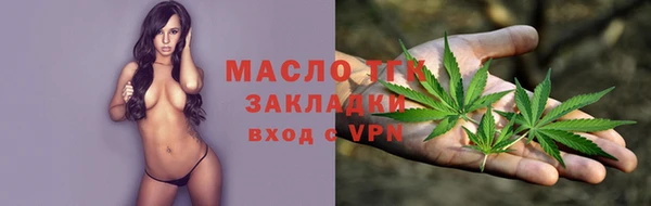 СК Алексин