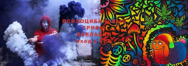 шишки Алексеевка