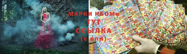 СК Алексин
