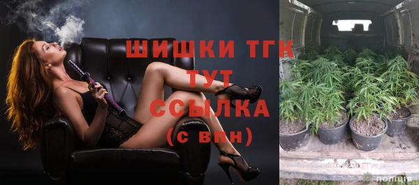 СК Алексин