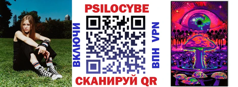 Галлюциногенные грибы Psilocybine cubensis  Брянск 